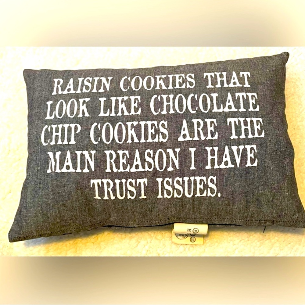 Gray Pillow and Case with Cookie Quote by Vintage House